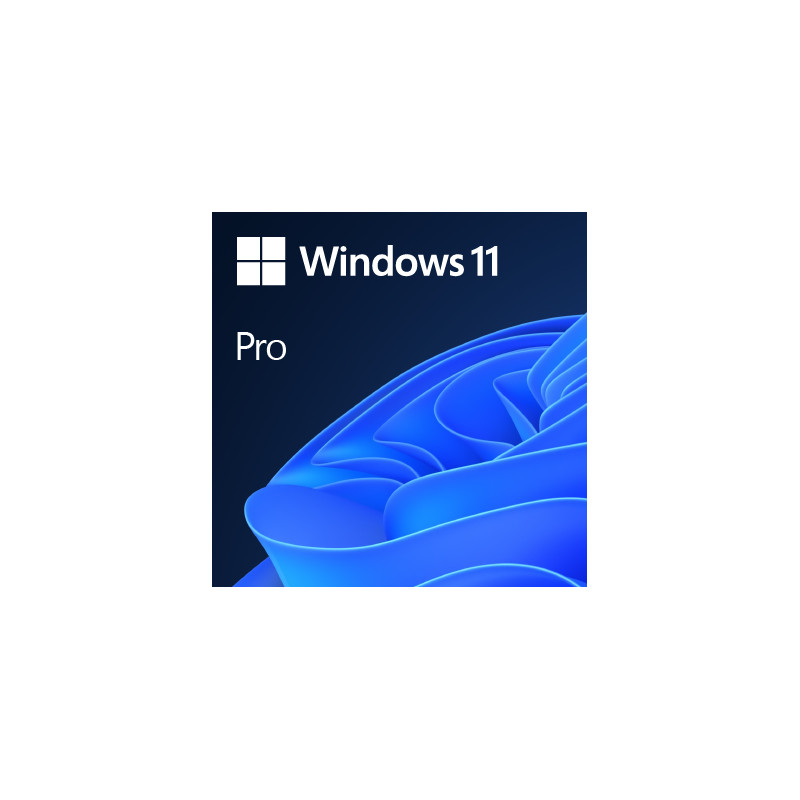 MICROSOFT WINDOWS 11 Pro FPP 64-BIT ITALIAN USB HAV-00210