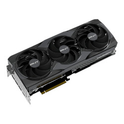 SVGA PNY RTX 5080...