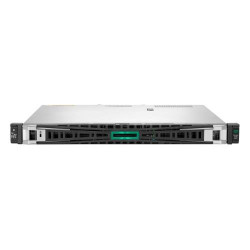 SERVER HPE P65394-421 DL20...