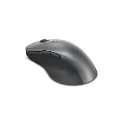 Lenovo Professional...