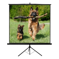 SCHERMO PROIEZIONE A...